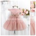 Baby Girl Birthday Dress - Lace Girl Dress