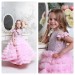 Pink Flower Girl Lace Dress - Princess - Junior bridesmaid -  Special Occasion Dress  - Maxi Grey - Open Back Dress- Ball Gown