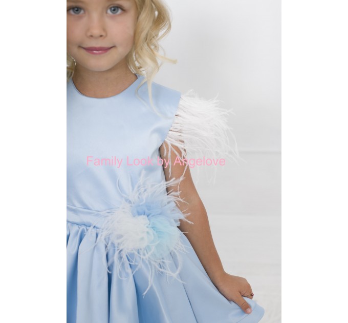 Dresses Princess Blue - Feathers and Tulle -  Fluffy Party  Skirt - Fairy Dress Birthday Outfit